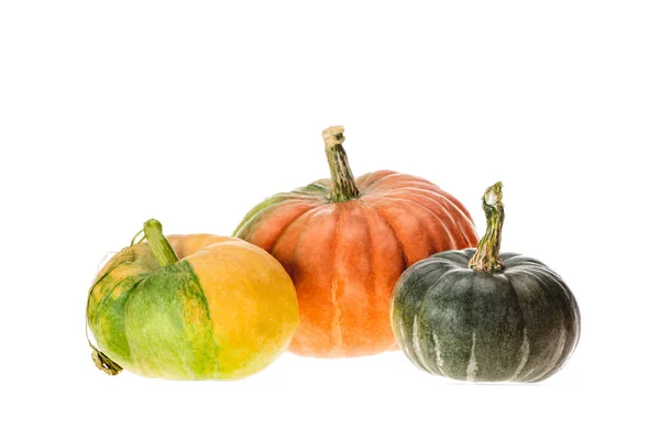 Geel Oranje Donker Groene Pompoenen Geïsoleerd Wit — Stockfoto