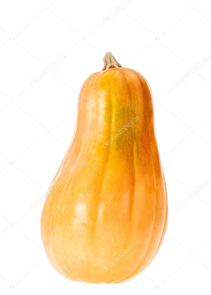 close up of one yellow autumnal pumpkin isolated on white