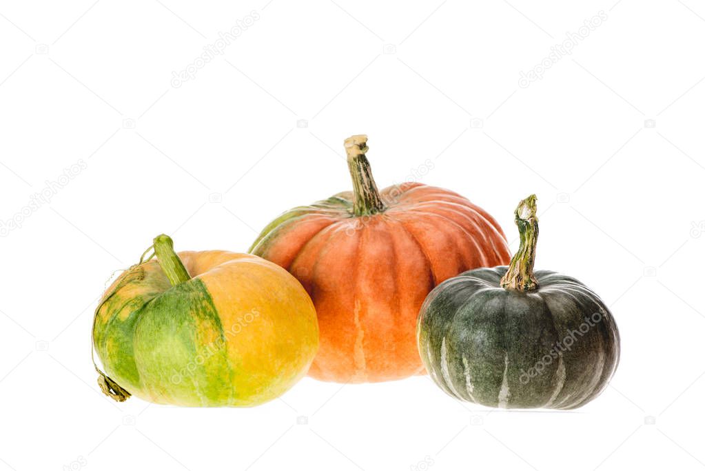 yellow, orange and dark green pumpkins isolated on white