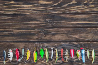 top view of various fishing bait placed in row on wooden background  clipart