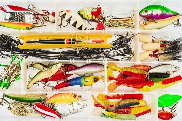 Elevated View Fishing Tackle Bait Plastic Box — Free Stock Photo