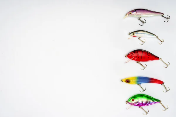 Draufsicht Auf Verschiedene Fischköder Reihe Auf Weißem Hintergrund Isoliert Platziert — kostenloses Stockfoto