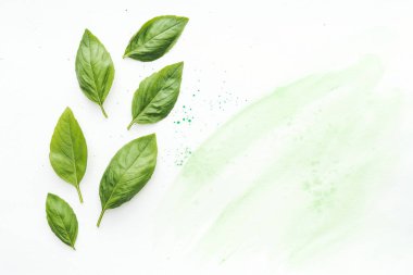 top view of delicious basil leaves on white surface with green watercolor strokes clipart