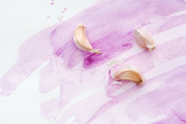 baharatlı Çiğ sarımsak üstten görünüm pembe sulu boya darbeleri ile beyaz yüzeyi