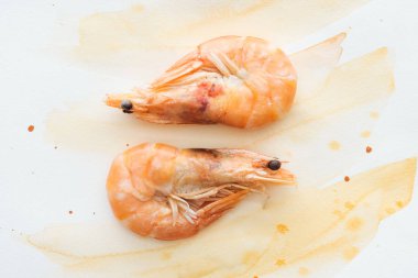 top view of tasty shrimps on white tabletop with watercolor strokes clipart