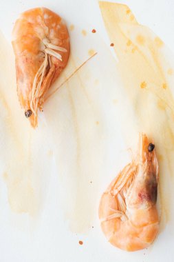 top view of delicious shrimps on white tabletop with watercolor strokes clipart