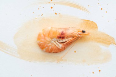 top view of raw shrimp on white tabletop with watercolor strokes clipart