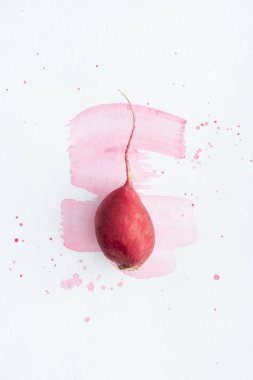 top view of single radish on white surface with pink watercolor strokes clipart