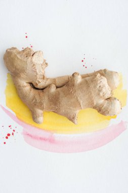 beyaz yüzeyi sarı ve pembe sulu boya darbeleri ile sağlıklı zencefil kökü üstten görünüm