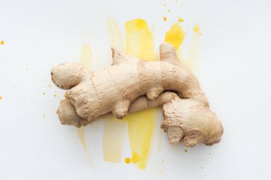 top view of ginger root on white surface with yellow watercolor strokes clipart