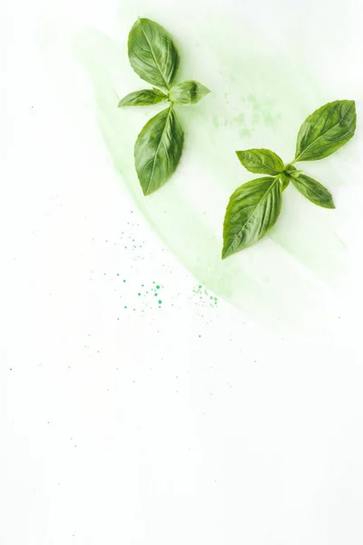 Top View Uncooked Basil Leaves White Surface Green Watercolor Strokes — Stock Photo, Image