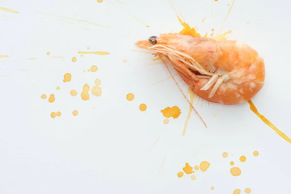 白色桌面上的生虾的顶部视图水彩污点 — 图库照片