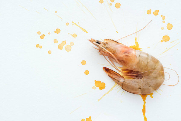 top view of raw shrimp on white surface with watercolor blots