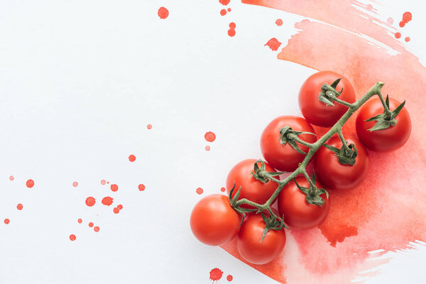 top view of branch of delicious cherry tomatoes on white surface with red watercolor strokes