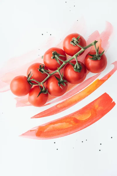 Top View Branch Ripe Cherry Tomatoes White Surface Red Watercolor — Stock Photo, Image