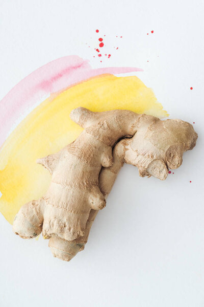 top view of ginger root on white surface with yellow and pink watercolor strokes