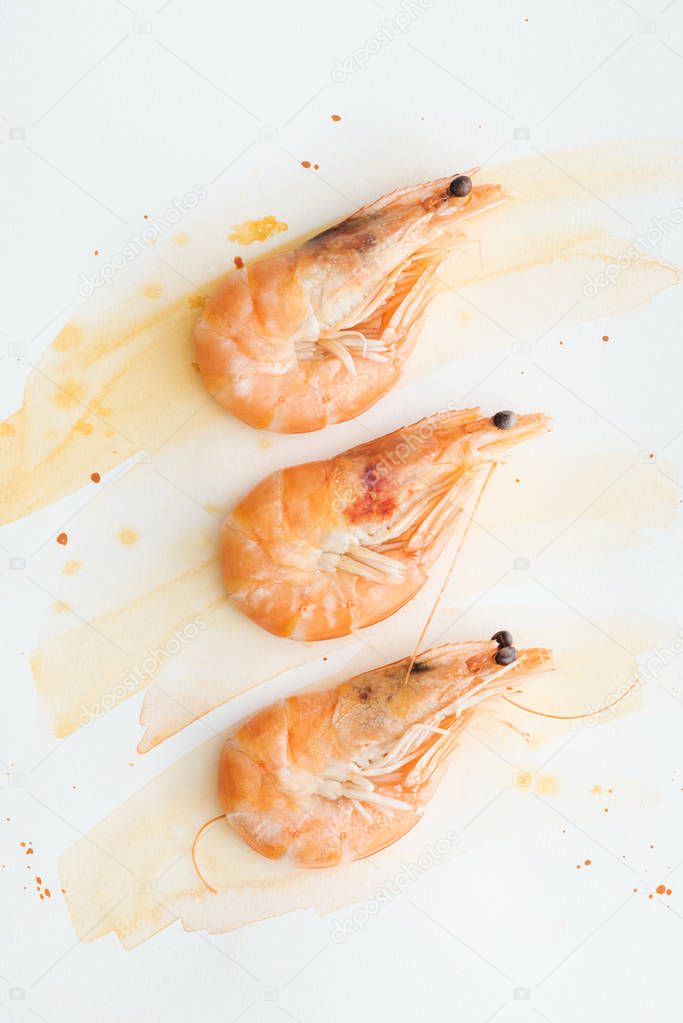 top view of tasty prawns on white tabletop with watercolor strokes
