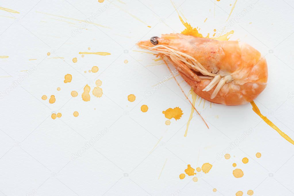 top view of raw shrimp on white tabletop with watercolor blots