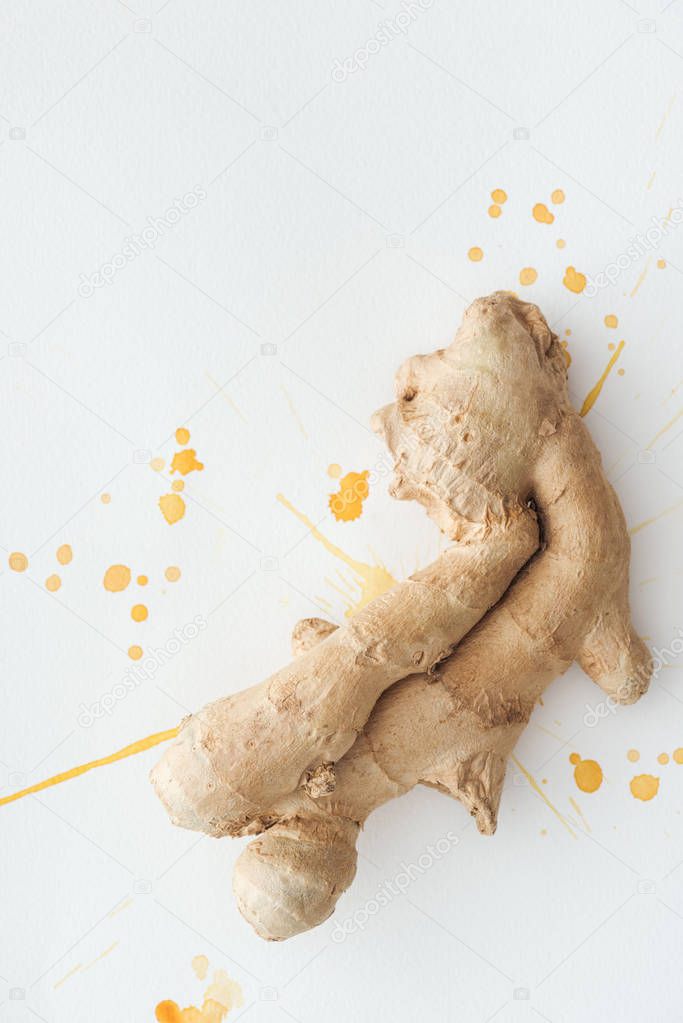 top view of ginger root on white surface with yellow watercolor blots