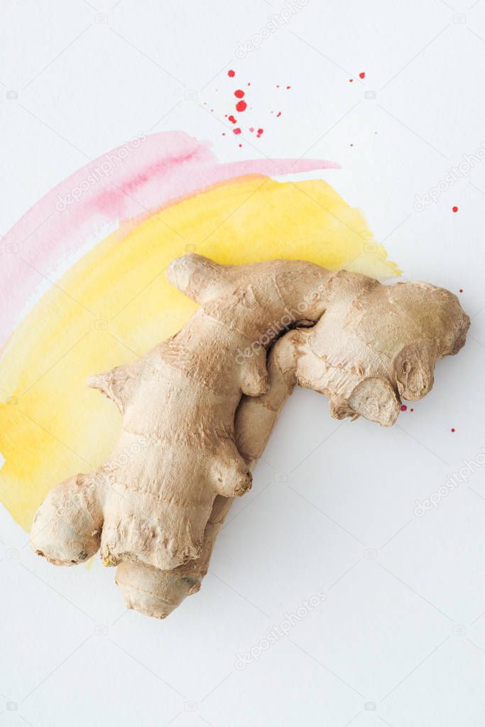 top view of ginger root on white surface with yellow and pink watercolor strokes