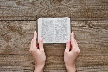 cropped shot of woman holding miniature holy bible on wooden table clipart