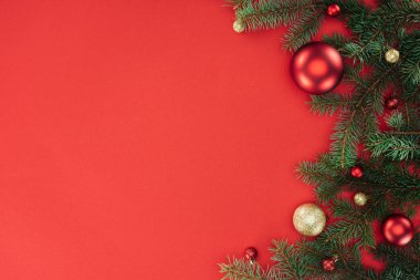 düz lay çam ağacı dalları ile kırmızı izole kırmızı ve altın Noel topları ile