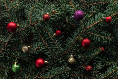 renkli Noel oyuncaklar yeşil çam ağacı dalları üzerinde tam kare