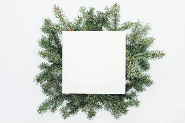 Top View Green Pine Tree Branches Square Blank Space Middle — Stock Photo, Image