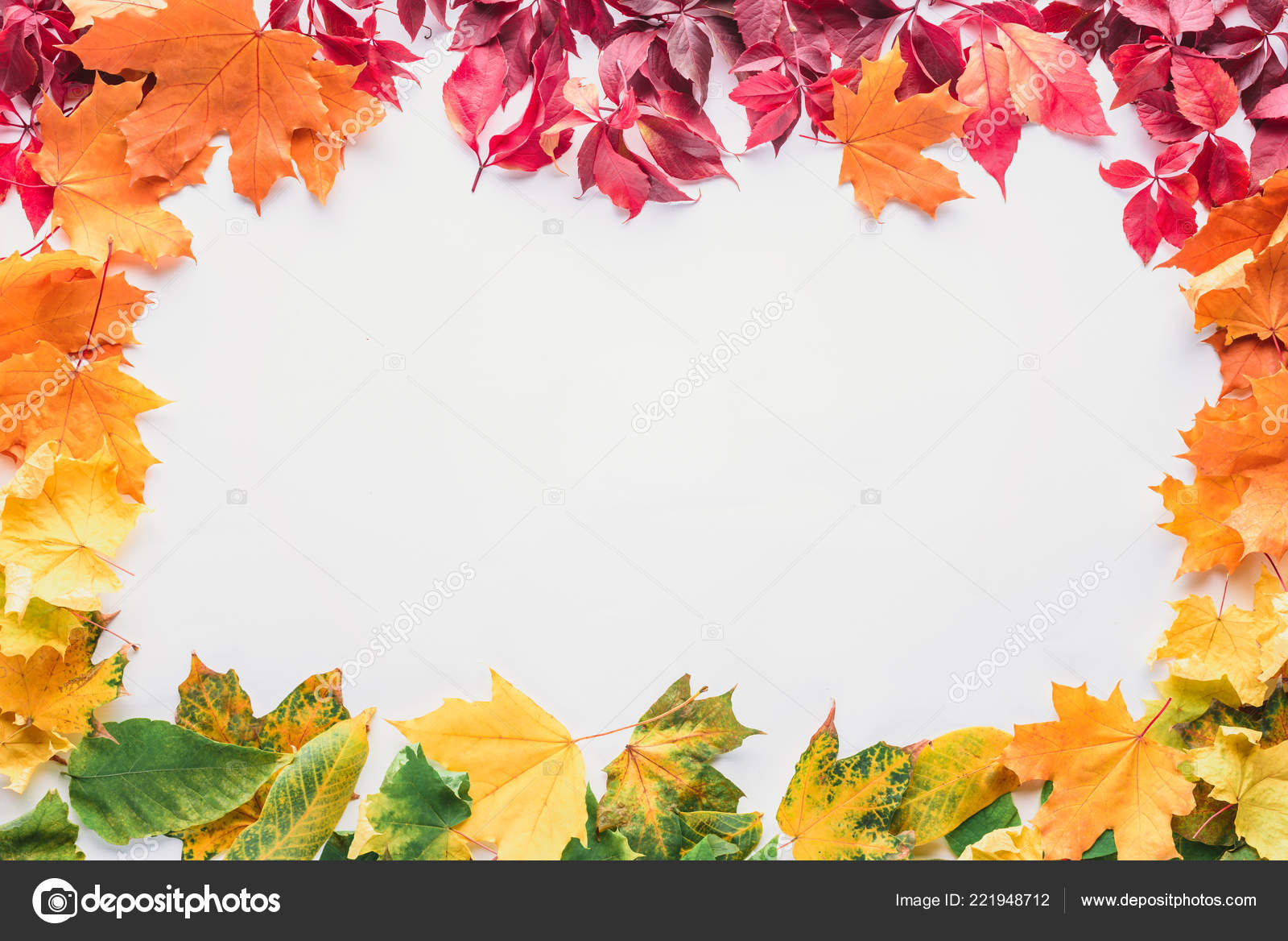 Top View Colored Frame Maple Leaves Isolated White Autumn Background ...