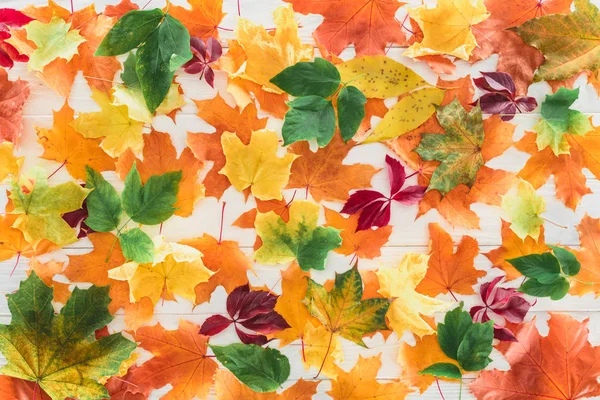 Top View Fallen Autumnal Maple Leaves Wooden Surface — Stock Photo, Image