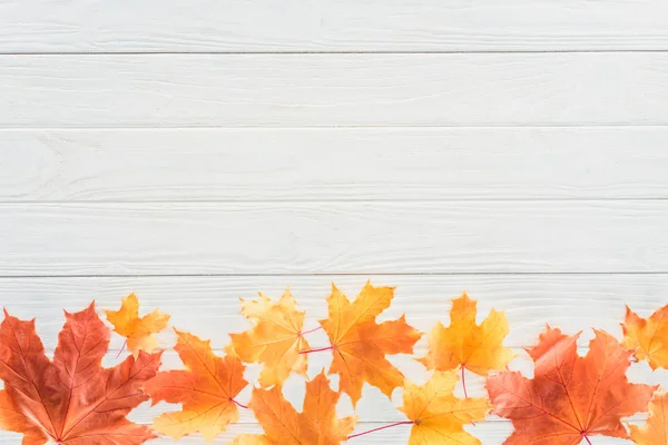 Bovenaanzicht Van Herfst Gevallen Esdoorn Bladeren Houten Tafel — Stockfoto