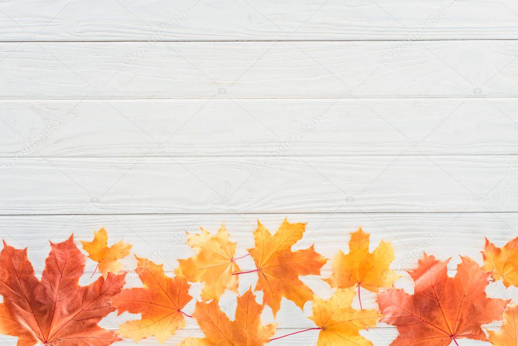 top view of autumnal fallen maple leaves on wooden table