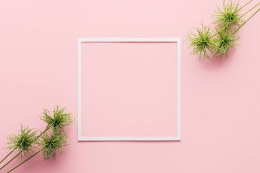 view from above of arranged green plants and white frame on pink  clipart