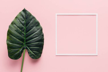 yeşil palmiye yaprağı ve beyaz çerçeve üstten görünüm pembe, minimalist kavramı 