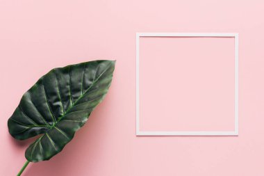 flat lay with white square and palm leaf on pink, minimalistic concept  clipart