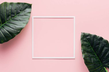  top view of white square and palm leaves on pink, minimalistic concept  clipart