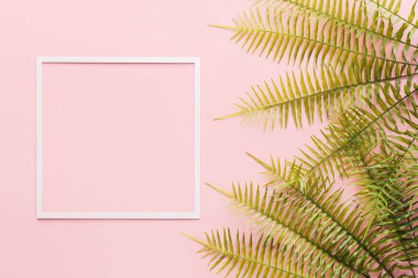 flat lay with fern branches and white frame on pink clipart