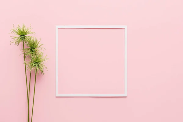 Flat Lay White Frame Green Plant Pink Minimalistic Concept — Stock Photo, Image