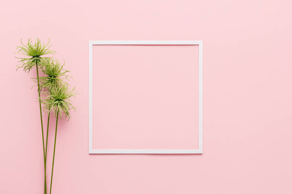 flat lay with white frame and green plant on pink, minimalistic concept 