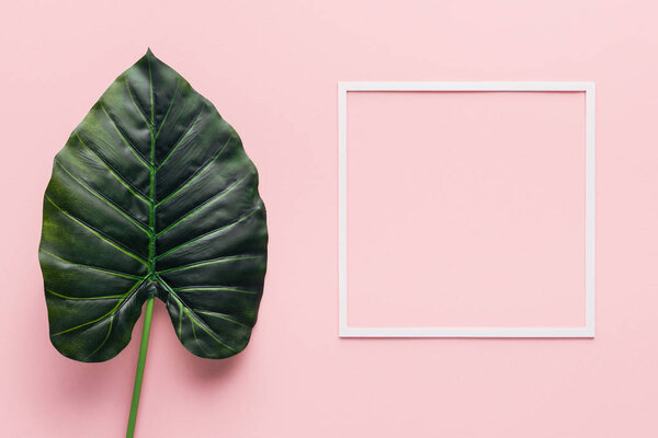 top view of green palm leaf and white frame on pink, minimalistic concept 
