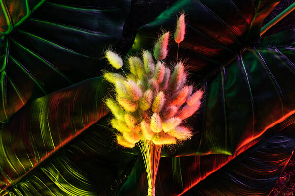 close up view of fluffy plant and palm leaves with red lighting 
