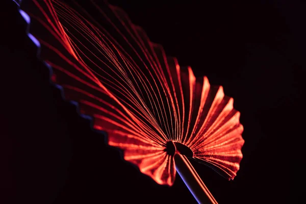 Close Beautiful Tropical Leaf Red Lighting Isolated Black — Free Stock Photo