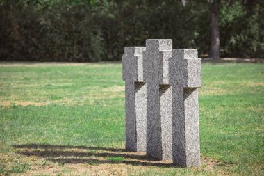 selective focus of old gravestones on grass at cemetery clipart