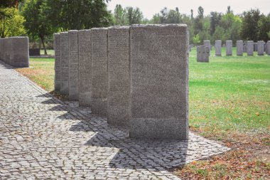 selective focus of identical headstones placed in row at cemetery  clipart