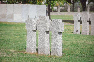 stone memorial monuments placed in row on grass at cemetery clipart