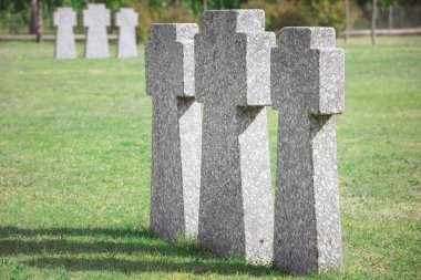 identical old memorial headstones placed in row at graveyard clipart