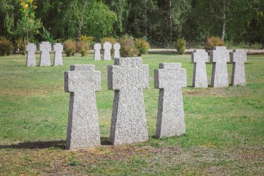 graveyard with identical old memorial headstones placed in rows  clipart
