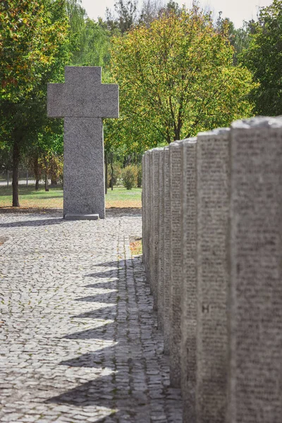 Stone Cross Identical Tombs Lettering Placed Row Graveyard — Free Stock Photo