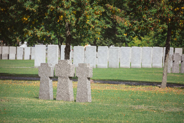 identical memorial stone crosses placed in row at cemetery