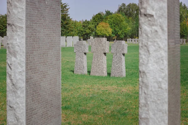 Selektywny Fokus Identyczne Memorial Kamienne Krzyże Umieszczone Rzędzie Cmentarz — Darmowe zdjęcie stockowe